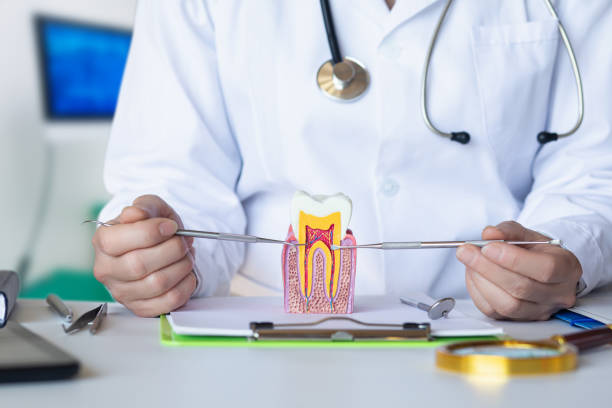 Best Emergency Cosmetic Dentistry in Spout Springs, NC